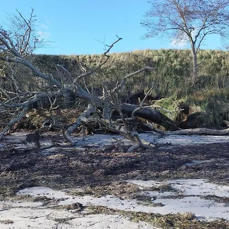 Casa vacanze Seemoewe 1