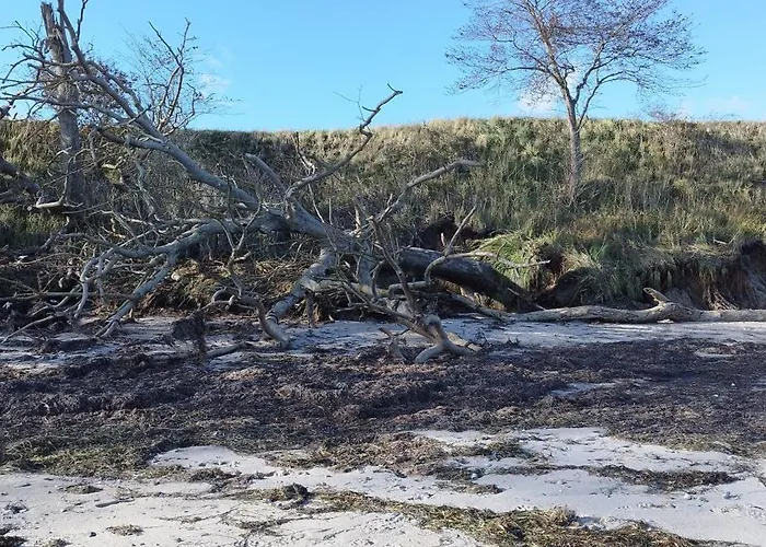 Ferienhaus Seemoewe 1