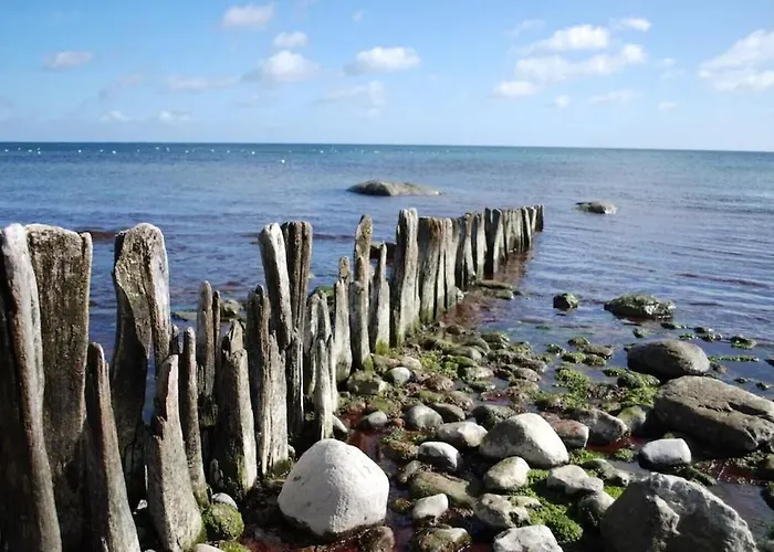 Ferienhaus Seemoewe 1 *