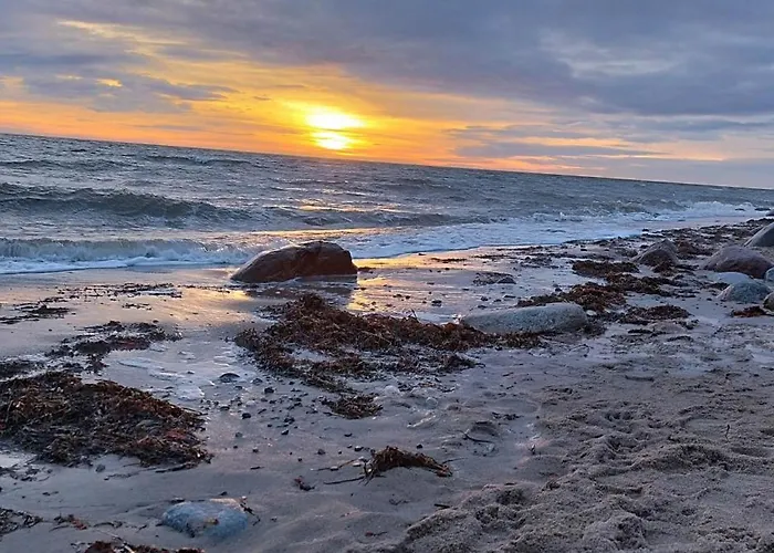 Seemoewe 1 Ferienhaus Süssau